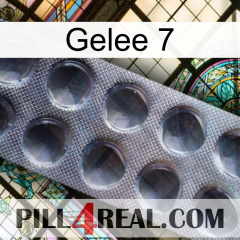 Jelly 7 30